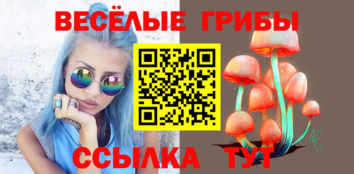 Псилоцибиновые грибы Psilocybe  Псилоцибиновые грибы Psilocybe  Вход с VPN  Вязьма 